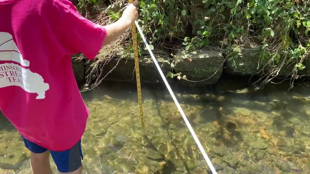 03. Level 2 Stream Discharge