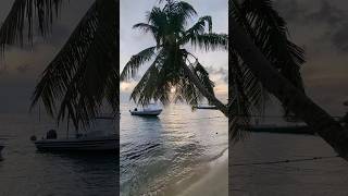 Maldives hithadhoo island.   #travel #shorts #trending