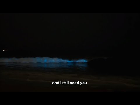 Still (Demo) Lyric Video
