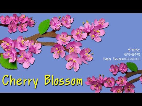 Video: Îngrășăminte Simple Pentru Flori De Interior