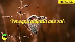 Wizking _-_ Ankatia ('Son Gasy Lyrics)