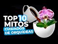 Top 10 Mitos Sobre el Cuidado de las Orquídeas