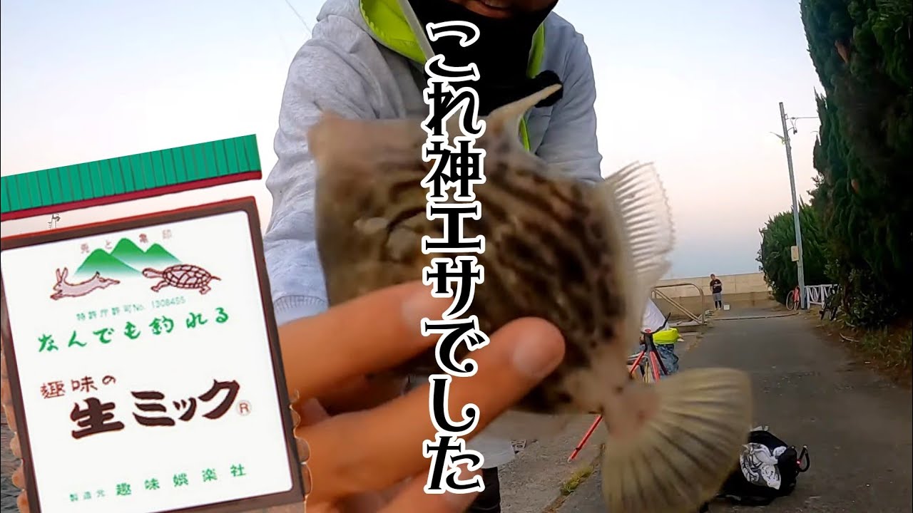 あの話題の餌は本当になんでも釣れるのか！？　釣りYouTubeで有名なTSURI HACK一押しのあれを実釣検証してみた。