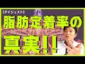 【ダイジェスト】知りたかった！！脂肪移植の定着率。医学論文が明かす衝撃の事実！お医者さんも知っといた方がいいよ。