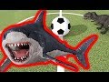 Dev Köpekbalığı MEGALODON Futbol Maçında