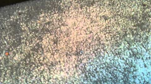 My vhs collection 2015 edition part 6