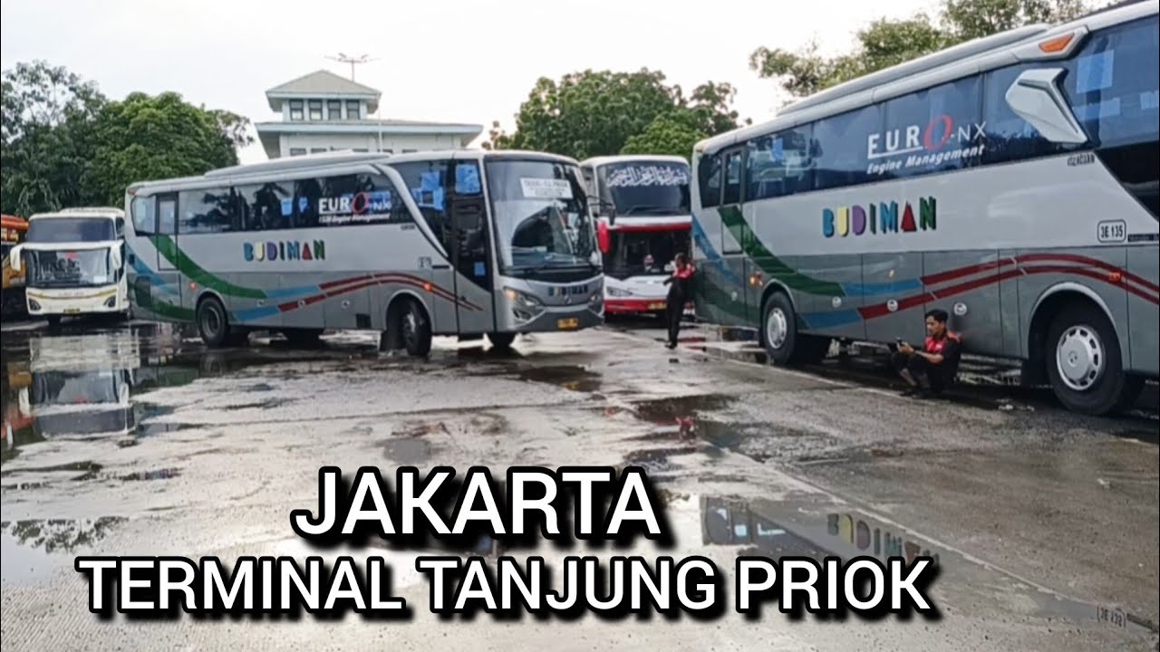Terminal Tanjung Priok Jakarta !! Bus Budiman,Arimbi,Garudamas,Primajasa,dll