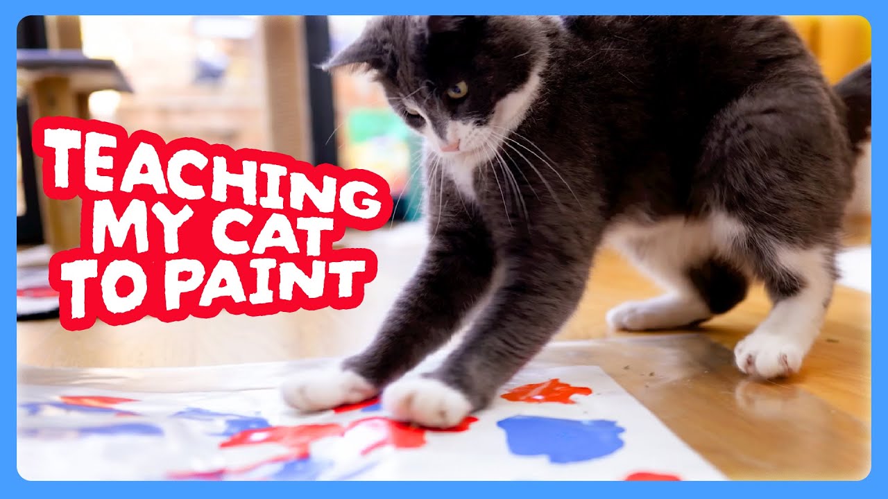 Учу мою кошку рисовать