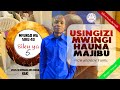Mch John Usingizi Mwingi Hauna Majibu 04 01 2026