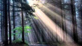 Rick Lee - I'll Remember You