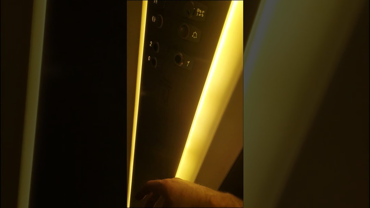 Cat using elevator regularly at our office 