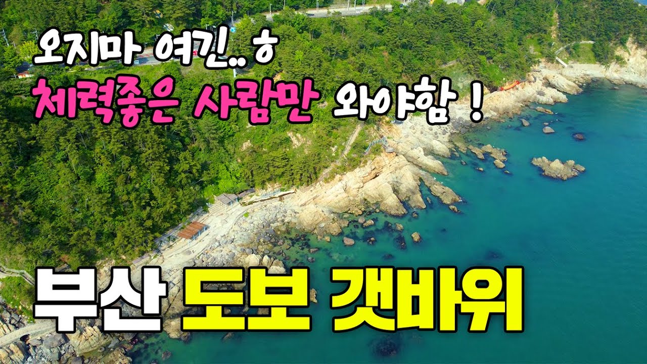 부산 영도 도보 갯바위낚시 무늬오징어 볼락 포인트