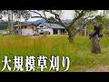 【激変】広すぎる畑が帰ってきた…終わりが見えない草との戦い