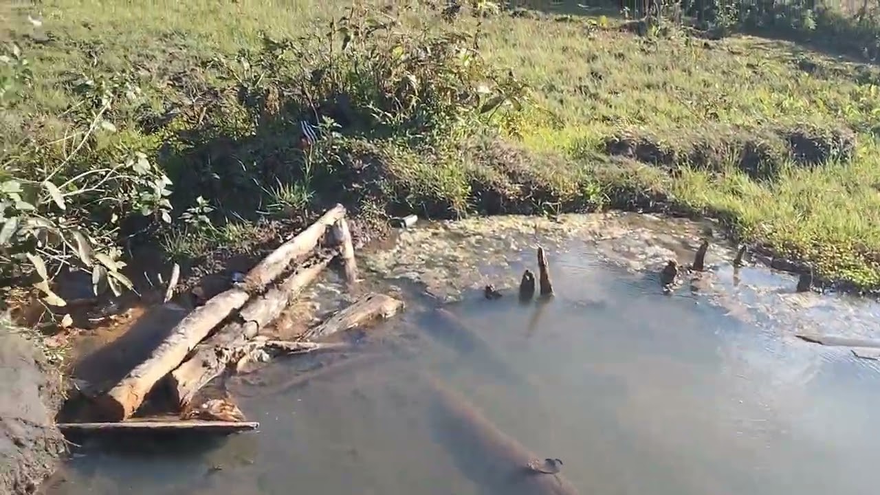 Pas dej kub nyob rau lub zos npab thav