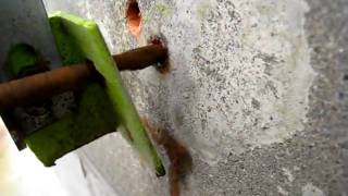 MVI_8367.AVI