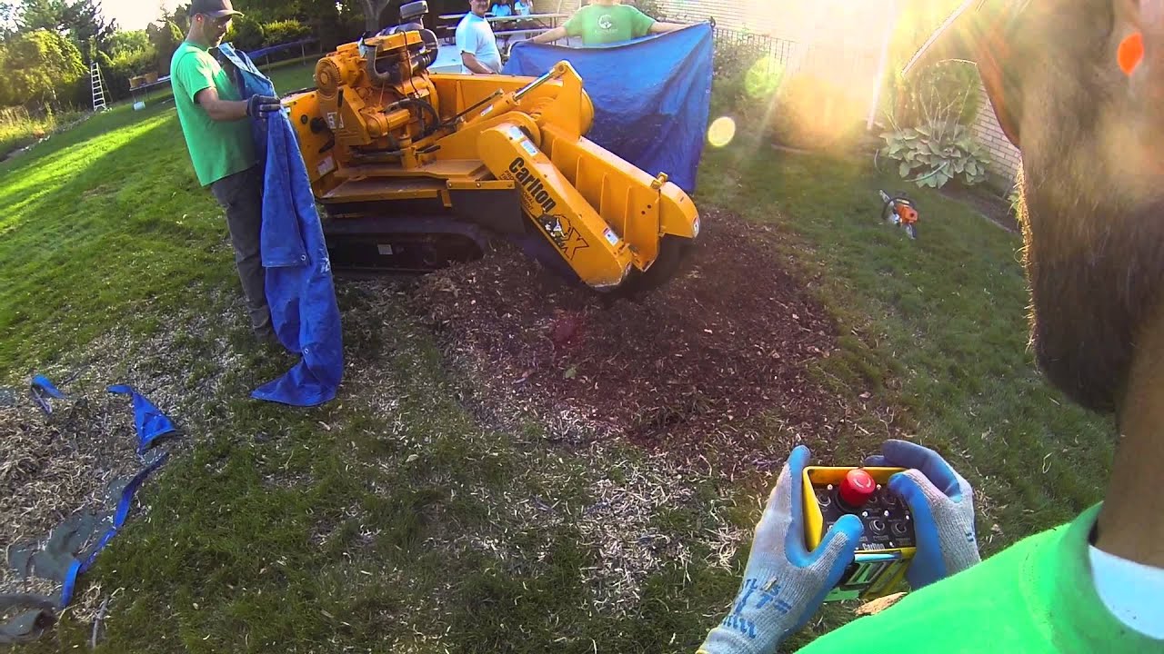 Cutting Edge Tree Professionals Stump Grinding - YouTube