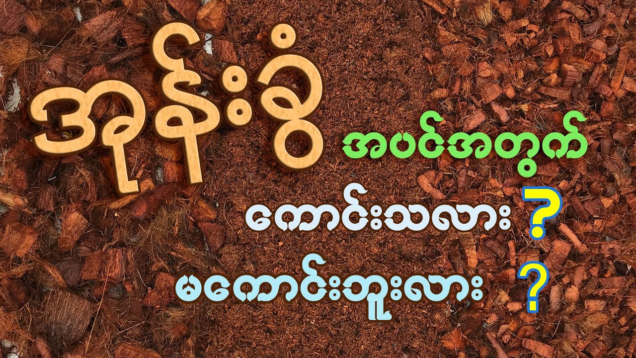အပင်အတွက်အကောင်းဆုံးအုန်းခွံလုပ်မယ်