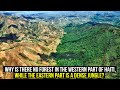 Why Is There No Forest in the Western Part of Haiti, While the Eastern Part Is a Dense Jungle?