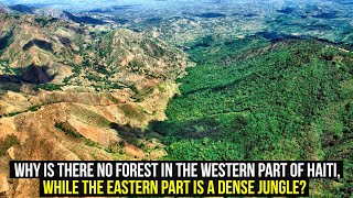 Why Is There No Forest in the Western Part of Haiti, While the Eastern Part Is a Dense Jungle?