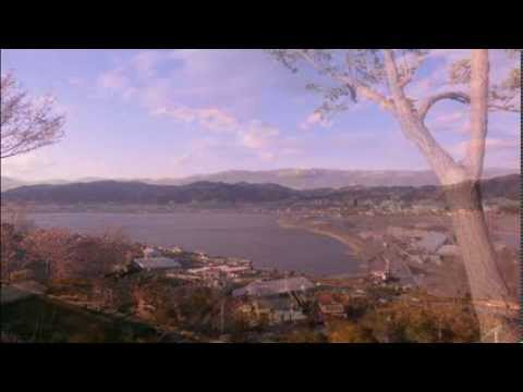 秋桜 コスモス 山口百恵 さだまさし Masashi Sada covered in Lake Suwa