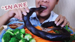 ASMR steamed Asian sunbeam snake , EXOTIC FOOD , CHEWY EATING SOUNDS | BINH ASMR