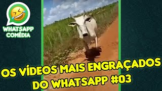 Os Vídeos Mais Engraçados do WhatsApp #03 screenshot 2