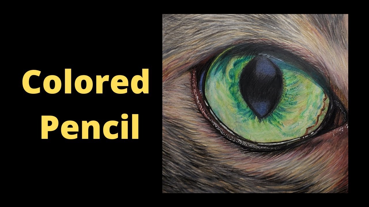 Step by step colored pencil techniques. How to draw a cat eye and fur ...