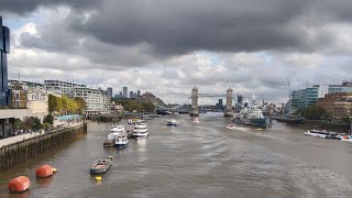 Thames River cruise from Westminster pier to tower bridge Quay #london #rivercruise #towerbridge