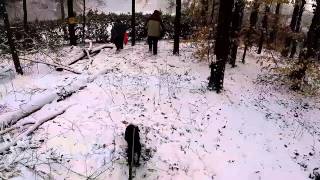 Greenville SC Snow 2/12/14