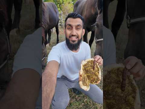 My Horses Ate Themselves Imlee Zaatar Taste Test 