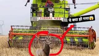 गेहूँ के फसलों  मे दुर्घटना 😱घट गया#rudrakraftaar