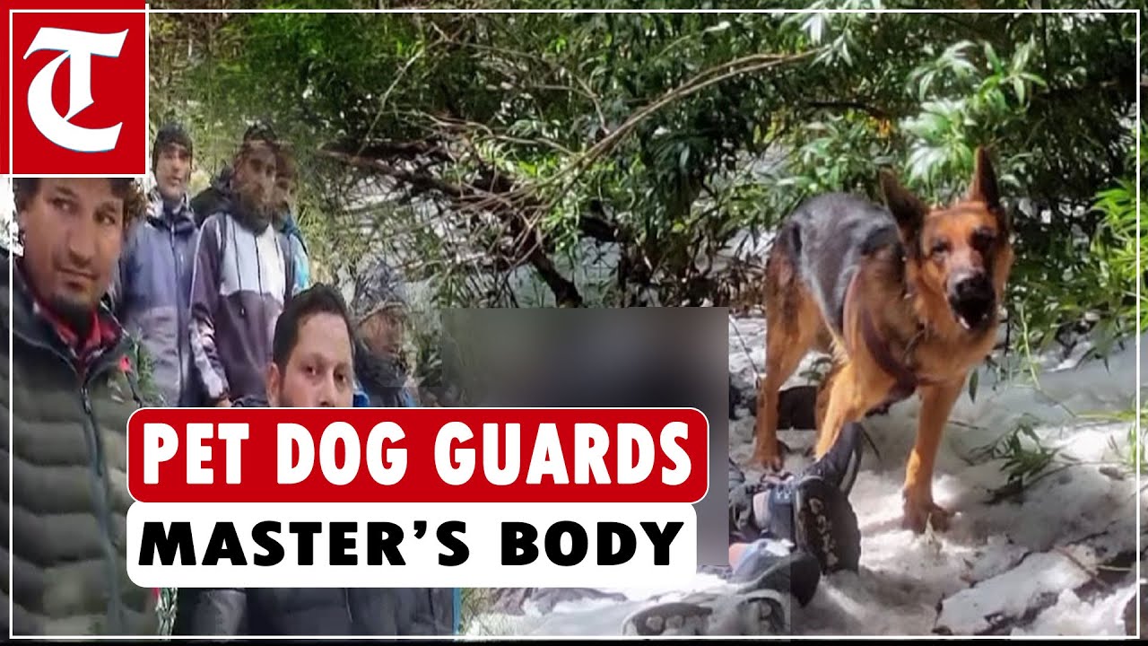Dog guards owner, his friend bodies for 2 days after they slip to death in snow trekking in Billing
