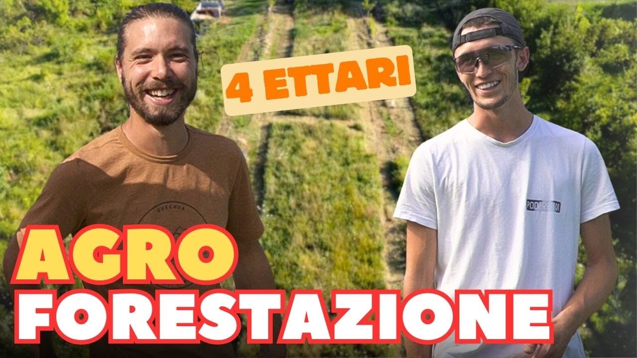 Dal Nonno ai Nipoti: Miele, Uova e Rigenerazione del Suolo. L'AGROFORESTA di @podere101