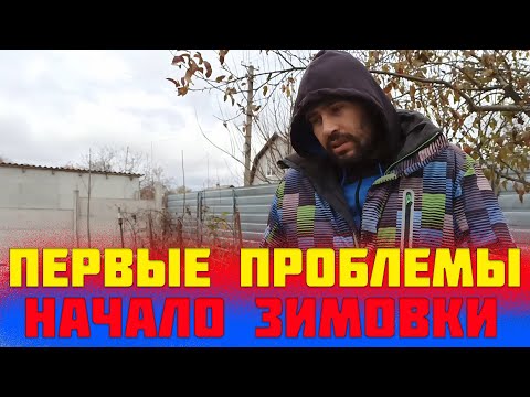 Начало зимовки пчел. Как не допустить ошибок в начале зимовки пчел. подготовка к зимовке пчел осенью