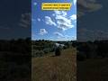 Красота и спокойствие деревенской природы #деревня #ностальгия