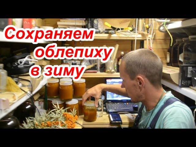 Сохранить облепиху в зиму // Облепиховое масло