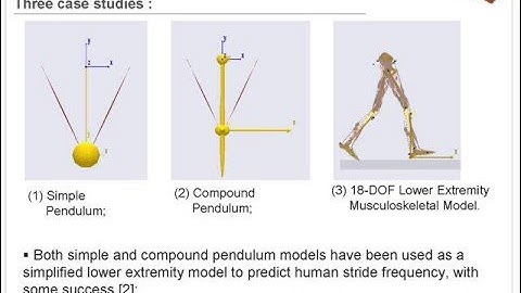 Musculoskeletal Simulation-based Study of Biped Locomotion