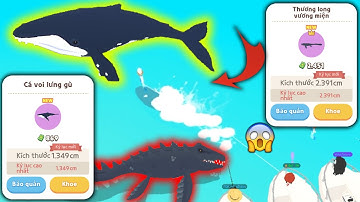 CÂU THÀNH CÔNG CÁ BÓNG 6 KHỔNG LỒ CÁ VOI LƯNG GÙ VÀ THƯƠNG LONG VƯƠNG MIỆN | PLAY TOGETHER