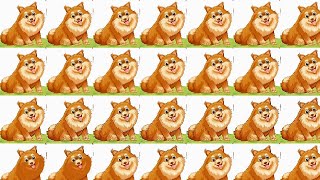 Find the odd one out - easy