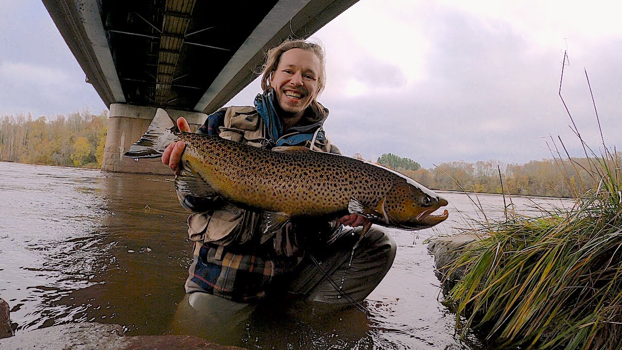 VUODEN ISOIN + Bonus video 4K