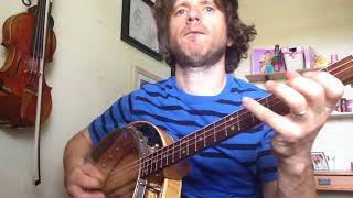 The Ladies Pantalettes Reel. Irish Tenor Banjo Music - Shane Farrell