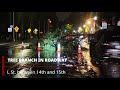 Road Hazard, L and 15th Streets, Sacramento