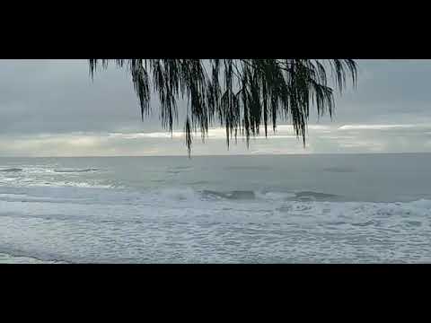 Vídeo Boletim OndasdoSul Direto do Moçambique SC por @shorelinesurfskate7789