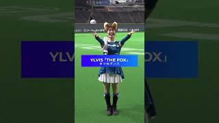 #shorts Ylvis 「The Fox」大バズリ中！