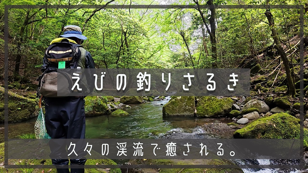 えびの釣りさるき】久々に渓流で癒されました。 | 渓流ルアー