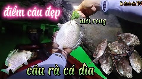 Tìm được điểm đẹp câu rà cá dìa bằng mồi rong ! cá ăn chạy quá phê ! câu cá giải trí ! tài fishing !