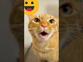 Billi ka khel kudbilli ka khel dikhaoshortfeed shorts viral trendingtom and jerry