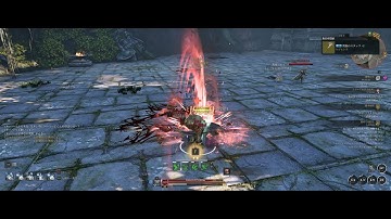 Bless Unleashed Berserker Field PK［Guild-C4,GuildMaster] short ver...