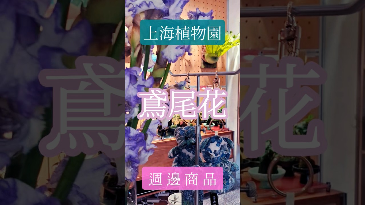 給愛麗絲|上海植物園官方紀念品店|上植印象|鳶尾花系列商品