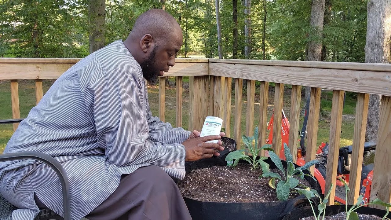 transplanting-and-direct-seeding-vegetables-for-our-fall-garden-youtube